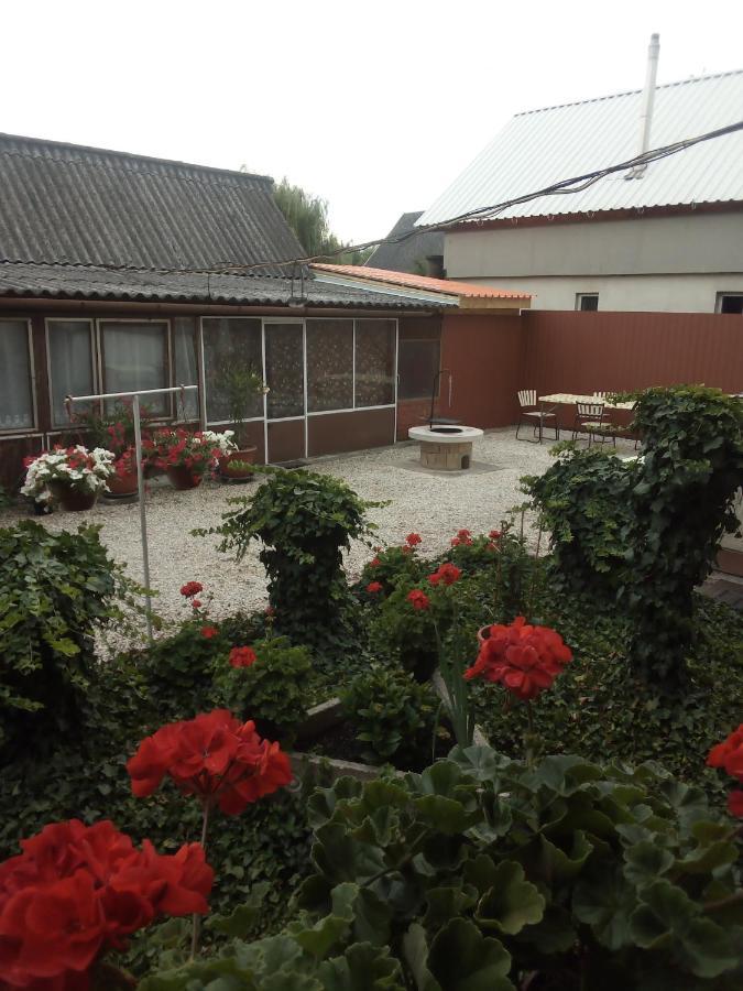 Vadkacsa Apartmanhaz Medencevel Zamárdi Exteriér fotografie